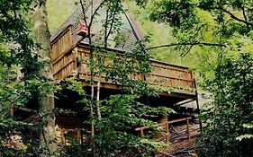 Sunclass Durbuy Chalet 98 Woody